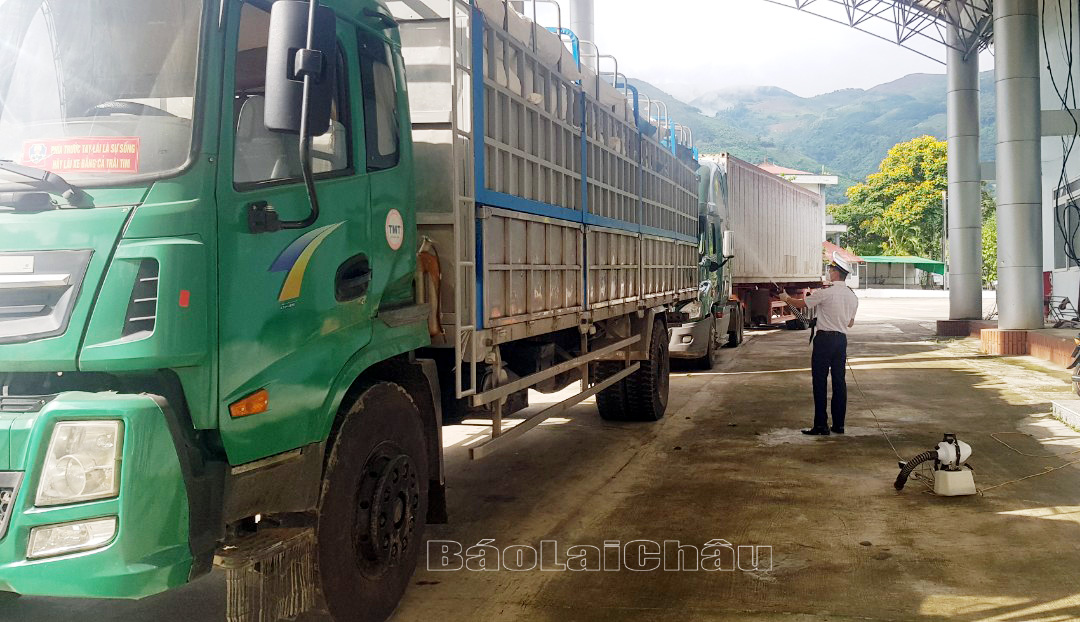 Phương tiện và hàng hóa được khử khuẩn trước khi xuất cảnh sang Trung Quốc.